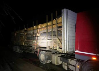 Вантажівку та 43 куби незаконної деревини із Житомирщини поліцейські вилучили на Рівненщині