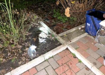 За вбивство подруги жителю Обарова загрожує до 15 років ув’язнення