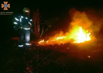 Завдяки недбальству на Кіровоградщині за одну добу вигоріло понад 3 га землі