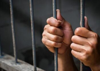 Жителька Рівненщини проведе за гратами 12 років за вбивство чоловіка