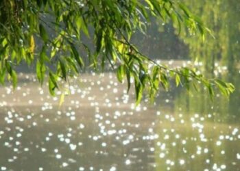 22 квітня у Кропивницькому має бути по-весняному тепло і майже без опадів