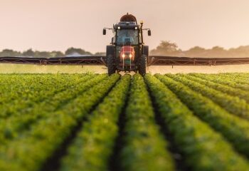 Аграрії Рівненщини прискорюють посівну