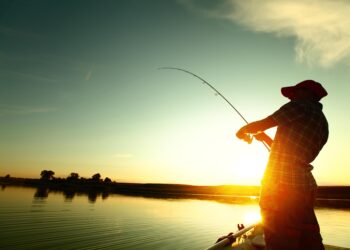 У Запорізькій області почала діяти нерестова заборона на лов риби | Новини Запоріжжя — кримінал