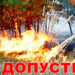Як уберегти ліс від пожежі?