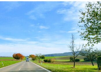 Які земельні ділянки не підлягають оподаткуванню земельним податком?