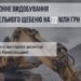 Керівник кар’єру на Кіровоградщині незаконно видобував будівельний щебінь