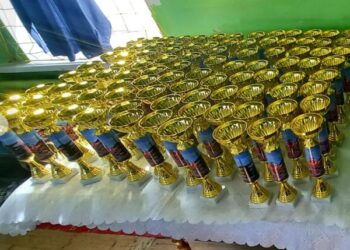 Кіровоградщина: В Олександрії відбулася першість міста з карате