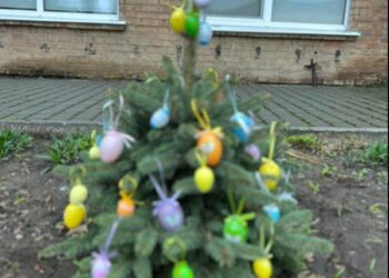 Ліцеїсти з Кропивницького прикрасили ялинки Великодніми писанками