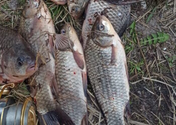 На Херсонщині водна поліція запобігла незаконному вилову риби на суму близько 500 тисяч гривень — Новини Херсонщіни