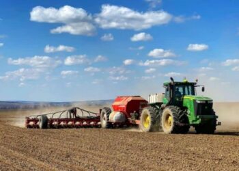 На Кіровоградщині горох й овес висадили в повній мірі, зернові — на 89%