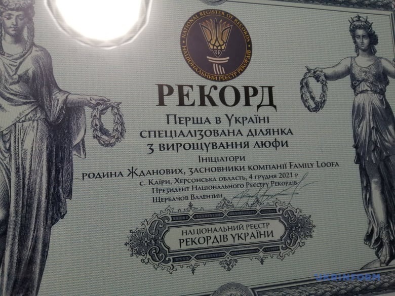 Каїрська люфа в Національному реєстрі рекордів України