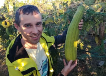 Підприємець з окупованої Херсонщини відновлює екобізнес з “вирощування” мочалок і губок на Київщині — Новини Херсонщіни