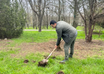 У дендропарку херсонського вишу висадили дерева — Новини Херсонщіни