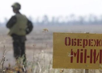 У Високопільській громаді місцевий мешканець знайшов велику кількість мін — Новини Херсонщіни