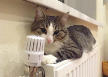 В центрі Одеси до вечора вимкнули опалення | Одеський Кур’єр