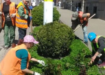 200 кущів троянд подарували кропивничанам небайдужі громадяни