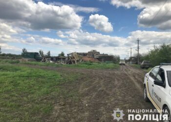 Екозлочини в Запорізькій області нанесли збитки майже на 7 млрд грн | Новини Запоріжжя — кримінал