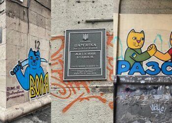 Відлуння «бойових котиків» – у Запоріжжі розробляють Меморандум про вуличне мистецство | Запорозька
