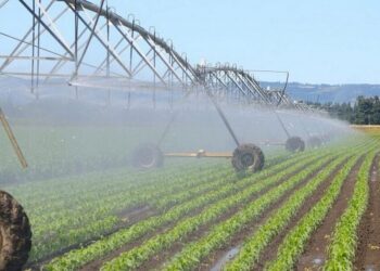 Аграріїв Дніпропетровщини закликають гуртуватися в організації водокористувачів, щоб управляти меліоративними системами – Новини Кам’янське