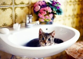 Частину Одеси залишають завтра без води | Одеський Кур’єр