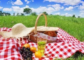 Чи можна мешканцям Рівненщини відвідувати ліси під час війни