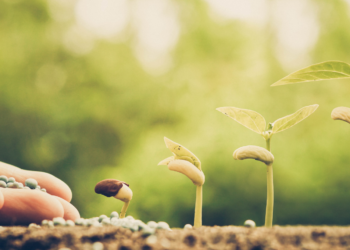 До уваги платників єдиного податку четвертої групи (юридичні особи)!