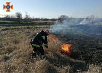 Кіровоградщина: У Голованівській ТГ сталося масове загоряння трави