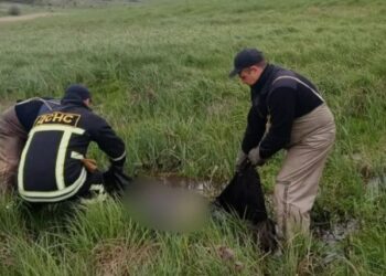 Кіровоградщина: зі ставка у Високих Байраках підняли тіло чоловіка