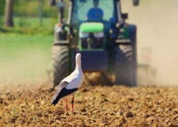 На Рівненщині завершується посівна