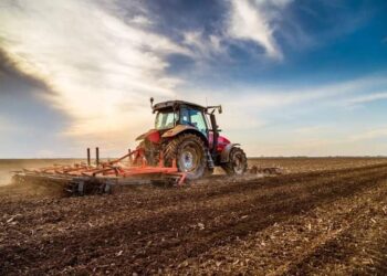 Рівненщина вже засіяла половину запланованих площ