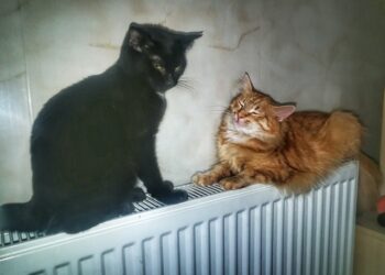 В Одесі завершують опалювальний сезон | Одеський Кур’єр