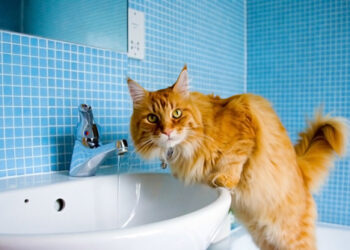 Завтра майже вся Одеса залишиться без води | Одеський Кур’єр