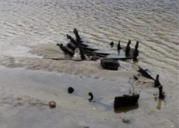 Заповідник «Хортиця» звертається з проханням до запоріжців | Новини Запоріжжя — кримінал