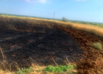 Гектари ячменю згоріли на Херсонщині через обстріли