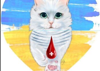 Канал «Донор. Одеса» став кращим міським проектом України | Одеський Кур’єр