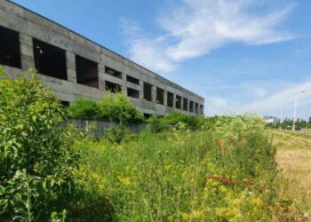 Кропивничан просять покосити земельні ділянки, бо будуть штрафувати