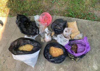 Майже 23 кілограми бурштину вилучили поліцейські у жителя Вараського району