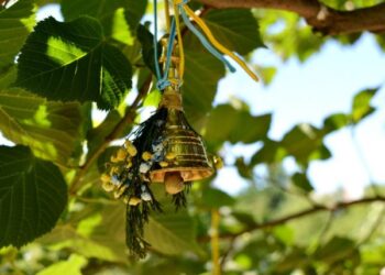 На честь маленьких янголяток у Кропивницькому вивісили на дерева дзвіночки