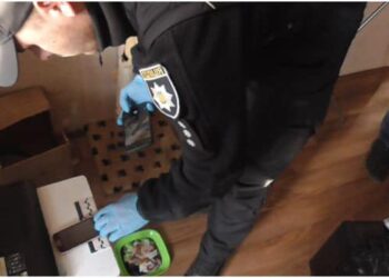 На Дніпропетровщині шахрай ошукав громадян на 50 тис. грн на продажу вигаданих кошенят – Новини Кам’янське