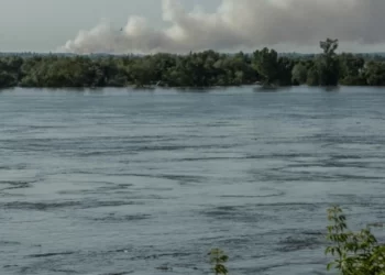 На Херсонщині виявили холерну та кишкову палички