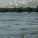На Херсонщині виявили холерну та кишкову палички