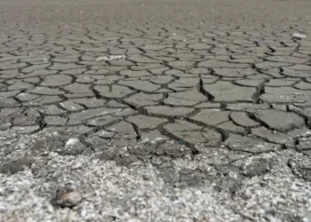 Нацпарки «Великий Луг» та «Кам’янська Січ» поступово перетворюються на пустелю