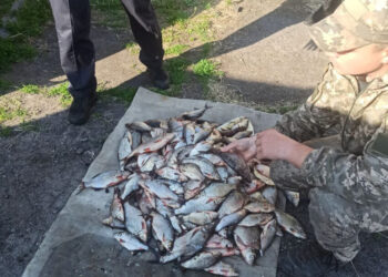 Понад 370 тис. грн збитку заподіяв довкіллю рибалка-браконьєр на Дніпропетровщині – Новини Кам’янське