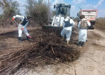 Рятувальники завершили збір нафтопродуктів в заплаві річки Вірьовчиної