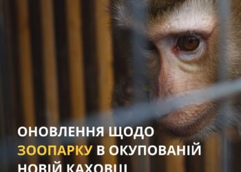 У новокаховському зоопарку вдалося врятуватись лише лебедям та качкам