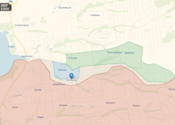 У Запорізькій області звільнено 8 населених пунктів, — Маляр