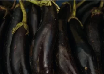 В Нацбанку оцінили шкоду агровиробництву від підриву Каховської ГЕС