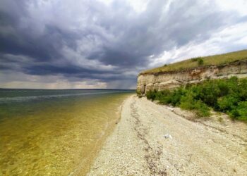 В Нацпарку «Кам’янська Січ» розміновують територію і рахують збитки (відео)