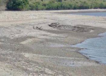 Відновлення популяцій промислових видів риб в пониззі Дніпра  триватиме роками