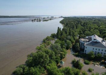 Внаслідок затоплення постраждала флора та фауна національного природного парку